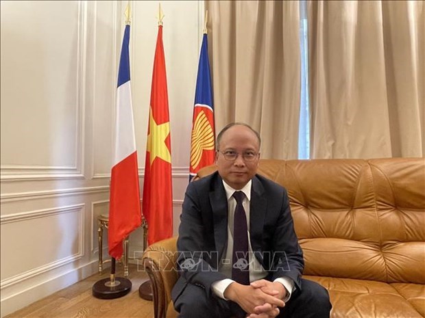 L'ambassadeur du Laos effectue une visite du Tet a l'ambassade du Vietnam en France hinh anh 1