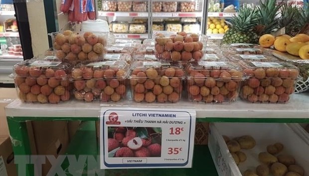 La diaspora appelee a promouvoir les produits agricoles vietnamiens hinh anh 2