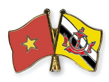 Felicitations au Brunei Darussalam a l'occasion de la Fete nationale hinh anh 1
