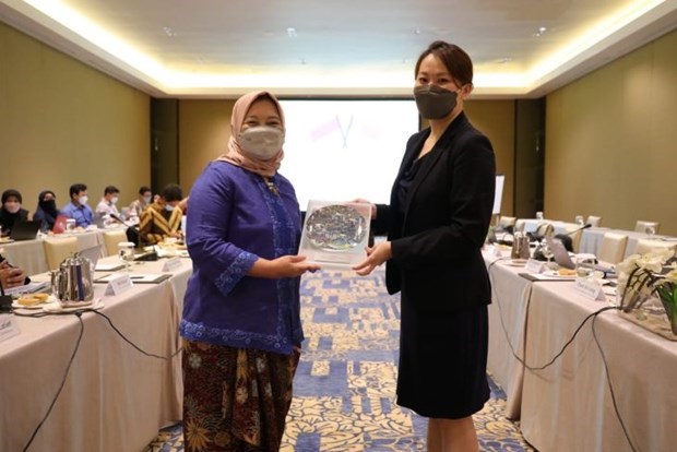 L'Indonesie et Singapour intensifient leur cooperation sur le changement climatique hinh anh 1