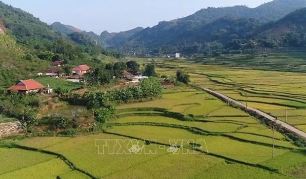Le gouvernement approuve le programme de construction de la nouvelle ruralite 2021-2025 hinh anh 2
