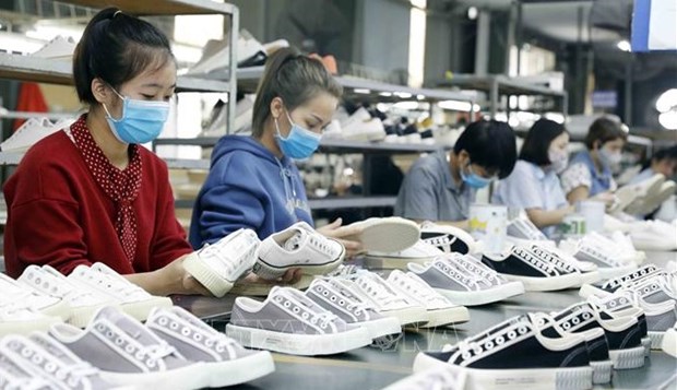 Le Vietnam occupe plus de 10 % des parts du marche mondial des exportations de chaussures hinh anh 1