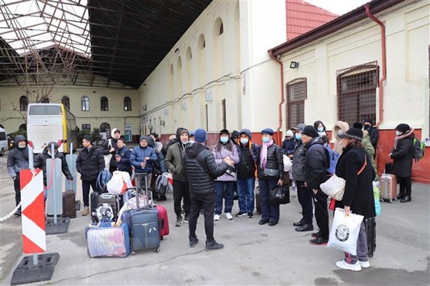 Le rapatriement des ressortissants en Ukraine est un travail urgent et prioritaire hinh anh 1