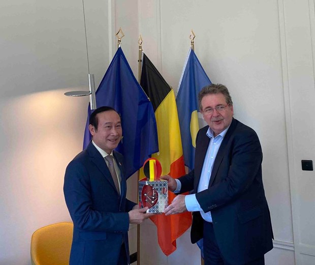 Renforcement de la cooperation entre le Vietnam et la Region de Bruxelles-Capitale hinh anh 2