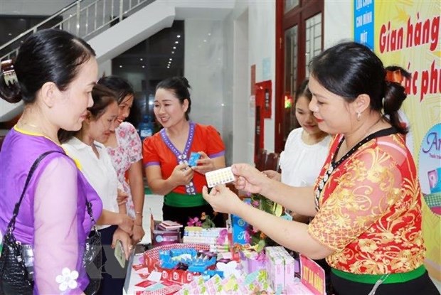 Changement des stereotypes de genre au Vietnam : representante de l'UNFPA hinh anh 3