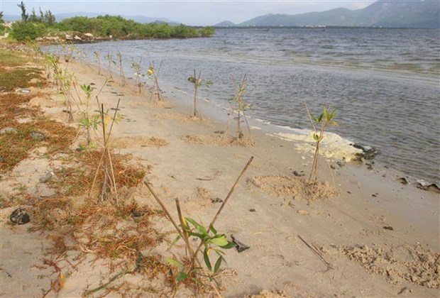 Le Vietnam consacre 70% de son budget aux efforts d’adaptation au changement climatique hinh anh 1