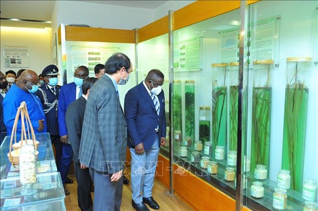Le president de Sierra Leone en visite a l'Academie des sciences agricoles du Vietnam hinh anh 1