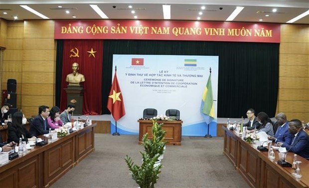 Le Vietnam et le Gabon cherchent a impulser leurs liens economiques hinh anh 1
