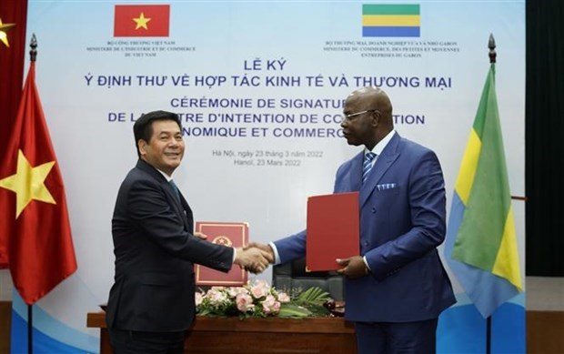 Le Vietnam et le Gabon cherchent a impulser leurs liens economiques hinh anh 2