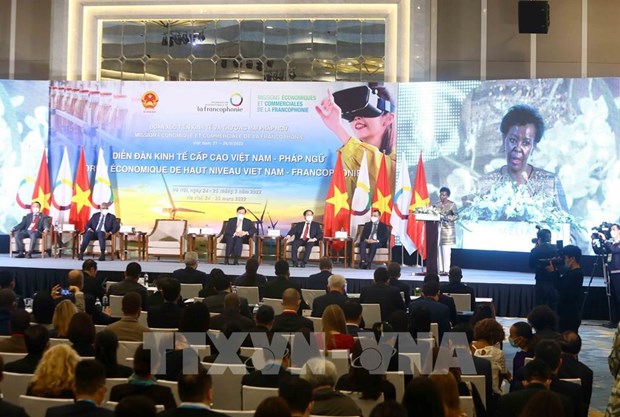 Des entreprises vietnamiennes et des partenaires francophones signent divers accords de cooperation hinh anh 1