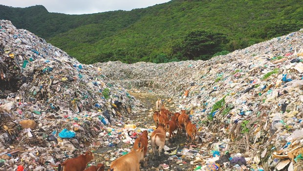 L'ile de Con Dao lance un programme de reduction des dechets plastiques hinh anh 1