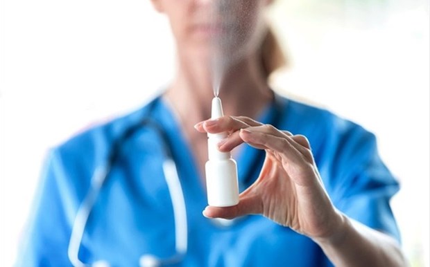 L'Institut Pasteur de Nha Trang recrute des volontaires pour tester un vaccin par spray nasal hinh anh 1