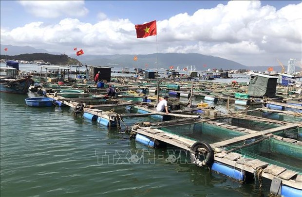 Ba Ria-Vung Tau applique les progres scientifiques pour une aquaculture durable hinh anh 2