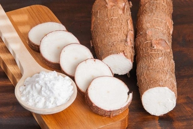 Les exportations de manioc ont tendance a augmenter a nouveau hinh anh 1