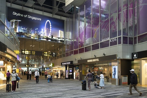 Singapour : ameliorations de l'aeroport de Changi pour accueillir les voyageurs apres la pandemie hinh anh 1