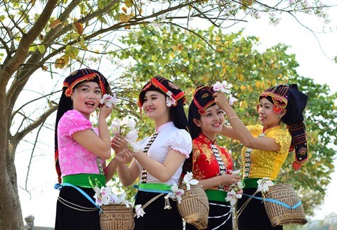 Dans le Nord, les festivals de fleurs servent de tremplin pour le tourisme hinh anh 1