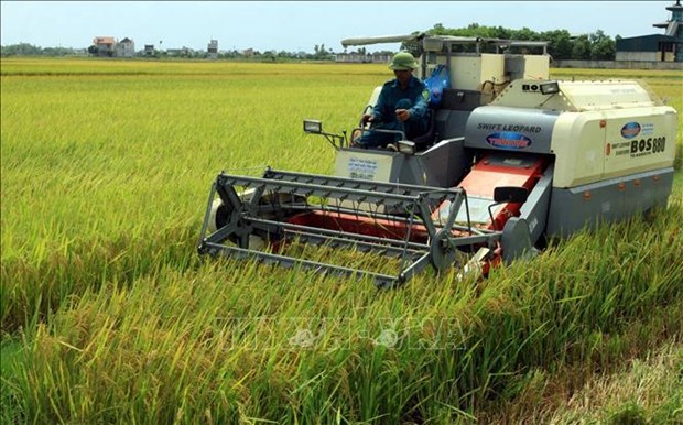 Le Vietnam envisage la transition vers une production verte pour une valeur durable hinh anh 2