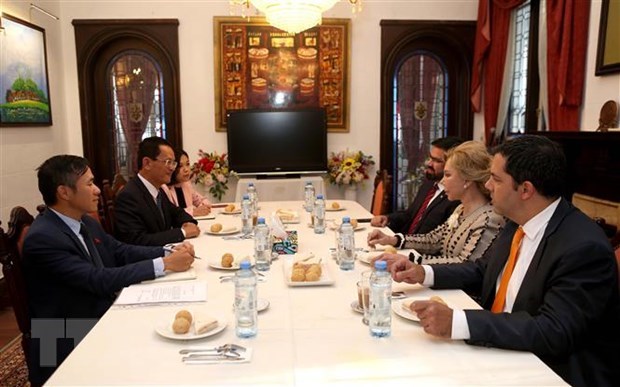 Le Vietnam et le Paraguay renforcent leur cooperation culturelle hinh anh 1