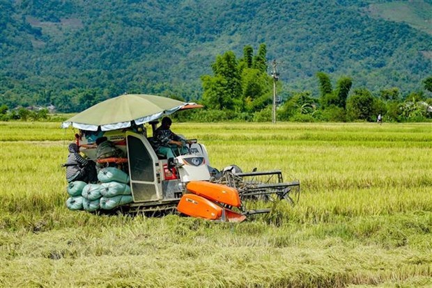 Les entreprises agricoles vietnamiennes et americaines parlent business hinh anh 2