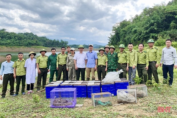 Le parc national de Vu Quang relache 51 animaux sauvages hinh anh 1