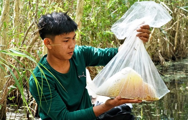 Les jeunes apiculteurs d’U Minh Ha a l’heure de la revolution 4.0 hinh anh 1