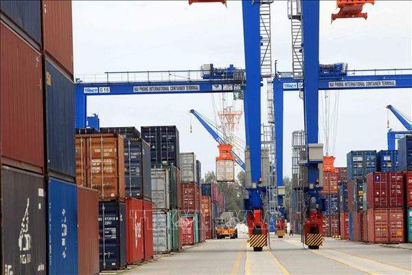 Le chiffre d’affaires a l’import-export en hausse de 15,6% en cinq mois hinh anh 1