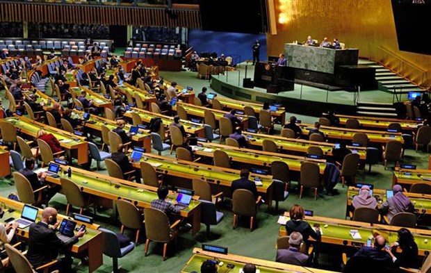 Le Vietnam s'efforce de contribuer aux activites de l'Assemblee generale des Nations Unies hinh anh 1