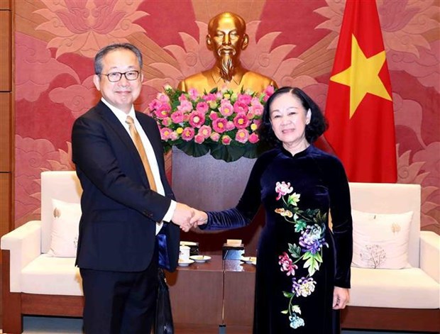 Une dirigeante vietnamienne recoit l’ambassadeur du Japon hinh anh 1