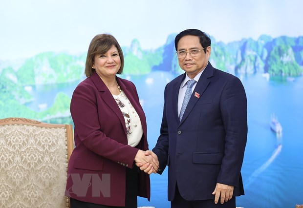 Le Premier ministre Pham Minh Chinh recoit les ambassadeurs d'Egypte et de Mongolie hinh anh 1