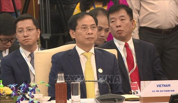Le ministre des AE Bui Thanh Son a la reunion speciale des ministres des AE ASEAN-Inde hinh anh 1