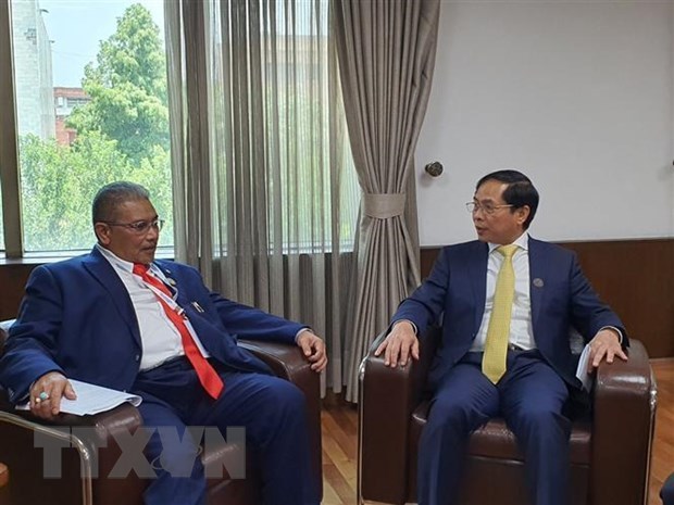 Le Vietnam, l'Indonesie et le Brunei conviennent de booster leurs relations hinh anh 2