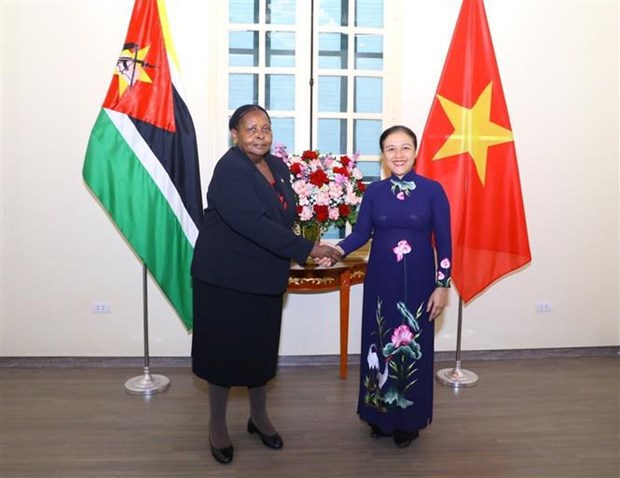 Promouvoir les relations amicales entre les peuples vietnamien et mozambicain hinh anh 1