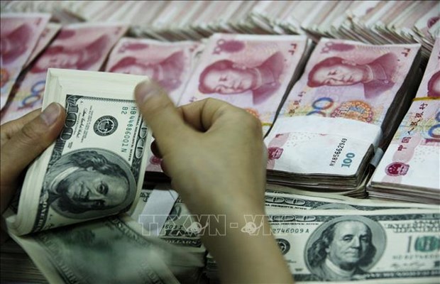 La Banque d'Etat est prete a completer l'offre de devises etrangeres sur le marche hinh anh 1