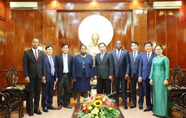 Can Tho souhaite dynamiser ses relations avec le Mozambique hinh anh 1