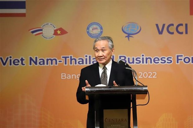 En Thailande, la vice-presidente Vo Thi Anh Xuan exhorte a mieux connecter les entreprises hinh anh 2