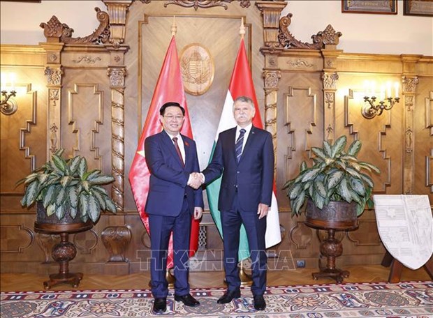 Renforcement des relations entre le Vietnam et la Hongrie hinh anh 1