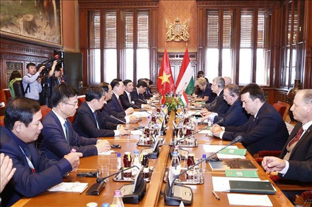 Renforcement des relations entre le Vietnam et la Hongrie hinh anh 2