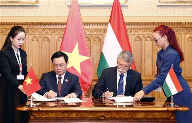 Renforcement des relations entre le Vietnam et la Hongrie hinh anh 3
