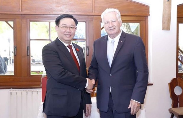 Le president de l’AN Vuong Dinh Hue poursuit ses activites en Hongrie hinh anh 1