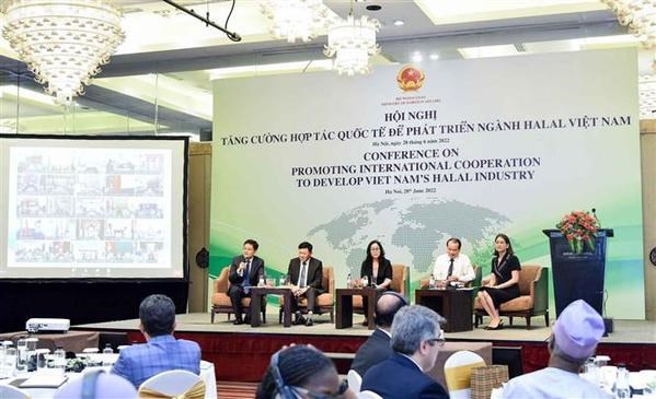 Developper l'industrie halal du Vietnam grace a la cooperation internationale hinh anh 1