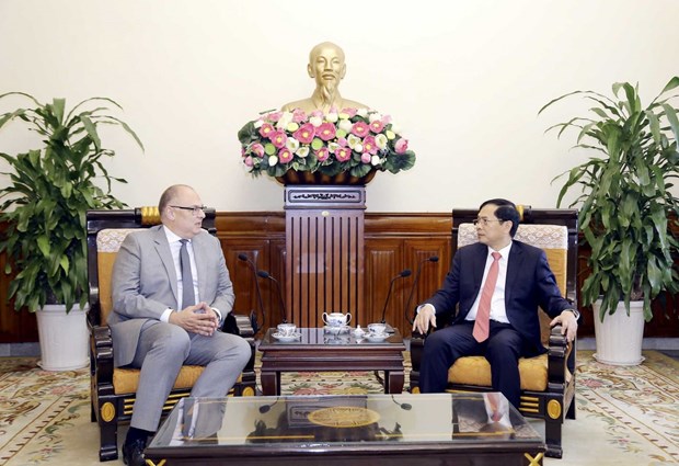 Le ministre des Affaires etrangeres Bui Thanh Son recoit l'ambassadeur du Danemark au Vietnam hinh anh 1
