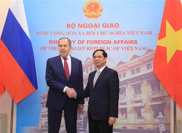 Le ministre vietnamien des AE s'entretient avec son homologue russe hinh anh 1