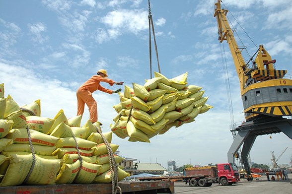 L’UKVFTA propulse les exportations de riz vers le Royaume-Uni hinh anh 1