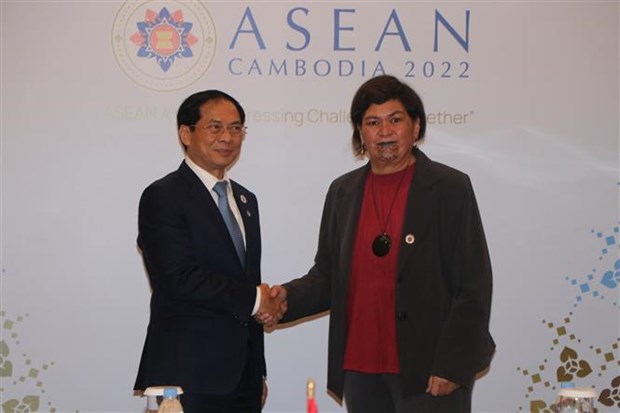 AMM-55: le ministre Bui Thanh Son rencontre des representants de plusieurs pays hinh anh 2