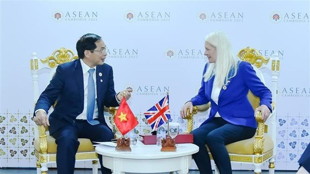 AMM-55: le ministre Bui Thanh Son rencontre des representants de plusieurs pays hinh anh 3