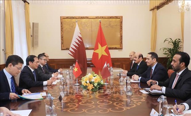 Le Vietnam et le Qatar ont des places pour booster leur cooperation bilaterale hinh anh 1