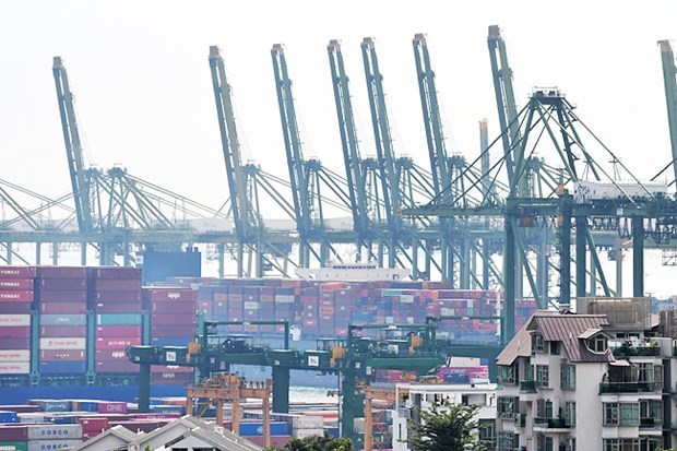 Les exportations dometiques non petrolieres de Singapour augmentent de 7 % en juillet hinh anh 1