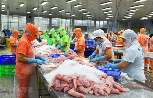 Le Mexique, destination phare pour les exportations de poisson tra du Vietnam hinh anh 1