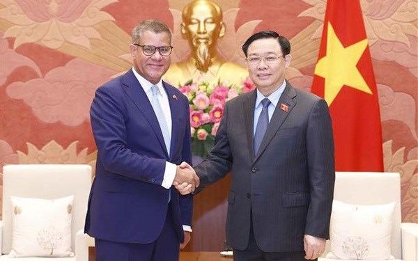 Le president de l’AN Vuong Dinh Hue recoit le president de la COP26 Alok Kumar Sharma hinh anh 1