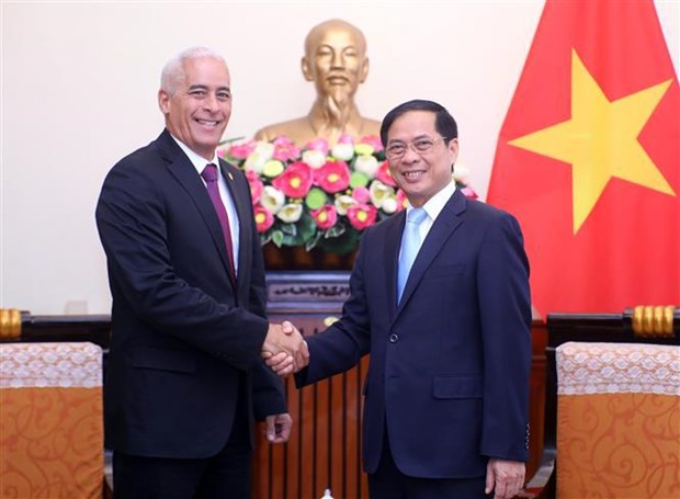 Resserrement des relations politiques speciales et de cooperation integrale Vietnam-Cuba hinh anh 1